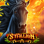 Stallion